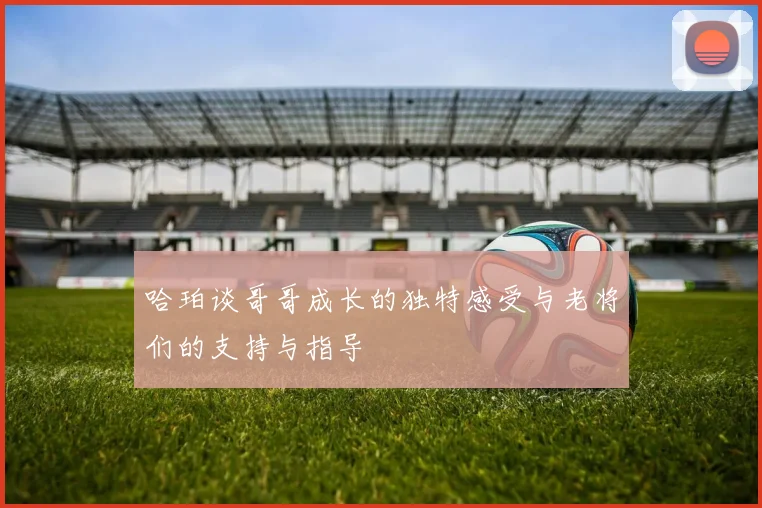 哈珀谈哥哥成长的独特感受与老将们的支持与指导